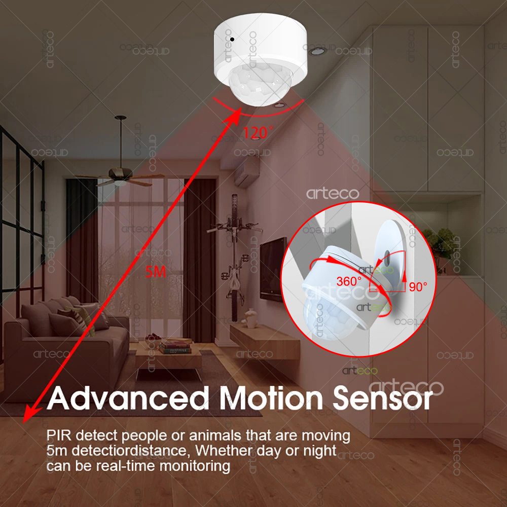 Ewelink Zigbee PIR 모션 센서 인체 운동 - Home Security Alexa 리뷰 및 가격