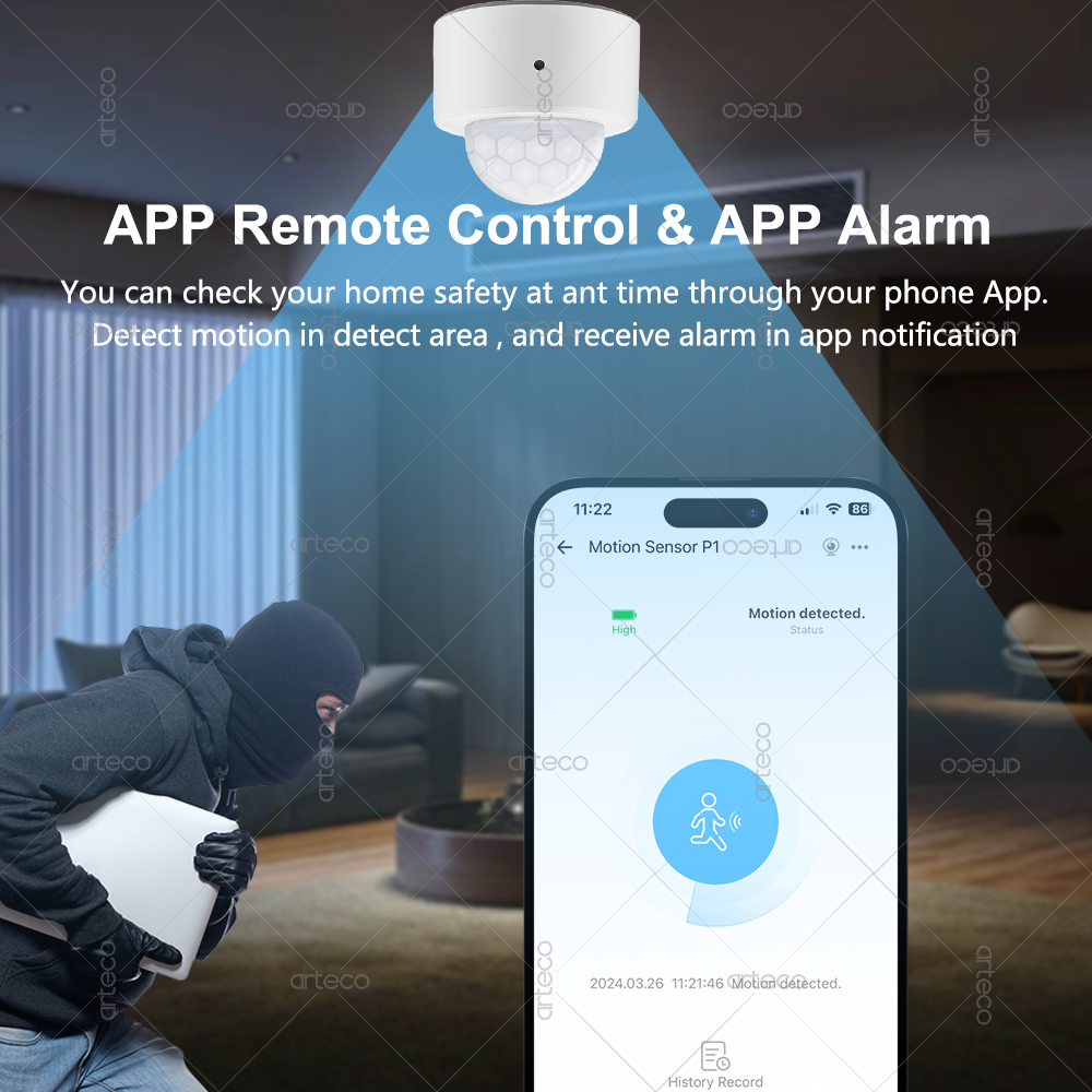 Ewelink Zigbee PIR 모션 센서 인체 운동 - Home Security Alexa 리뷰 및 가격