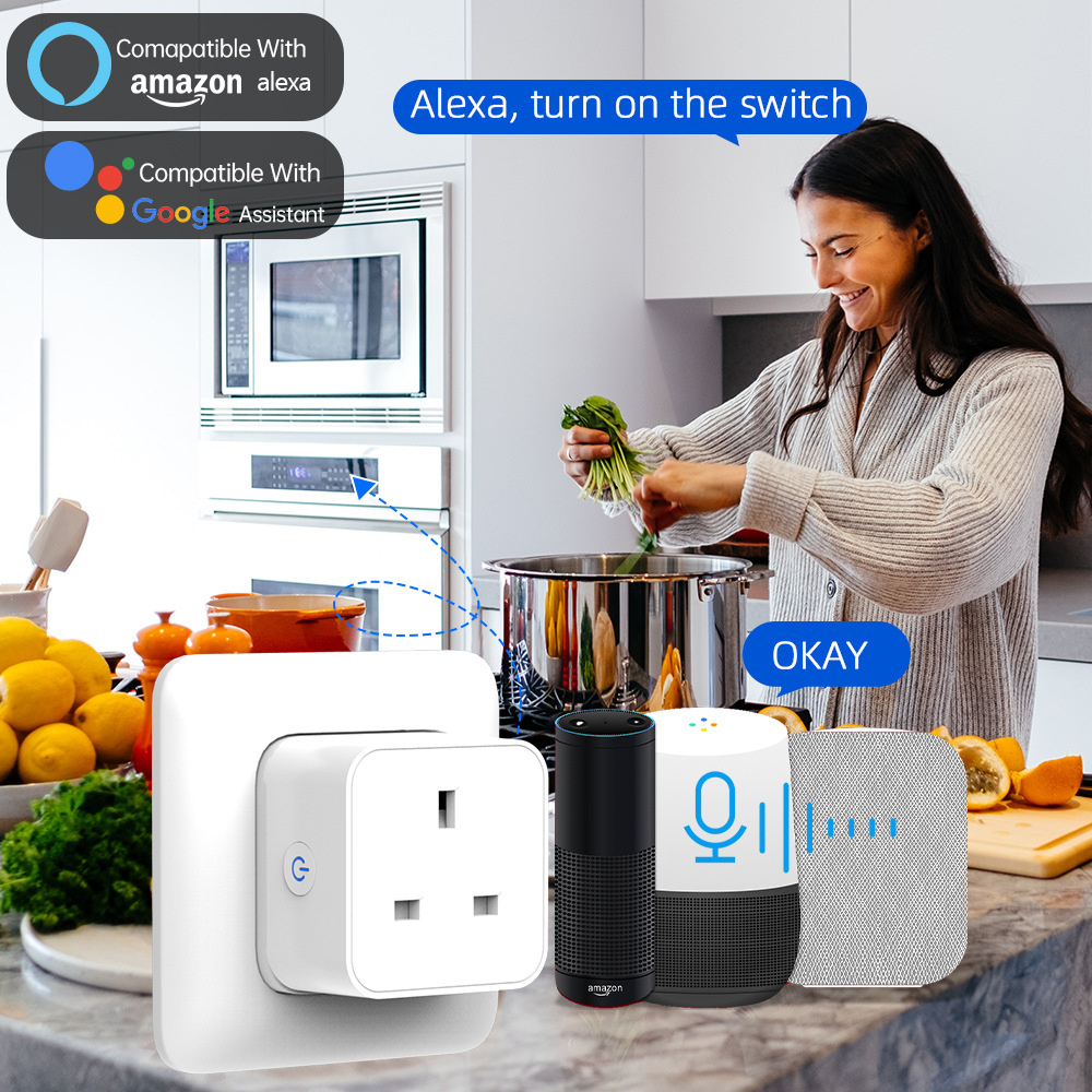 Tuya 스마트 소켓 16A/20A WiFi 또는 Zi - Home Security Alexa 리뷰 및 가격