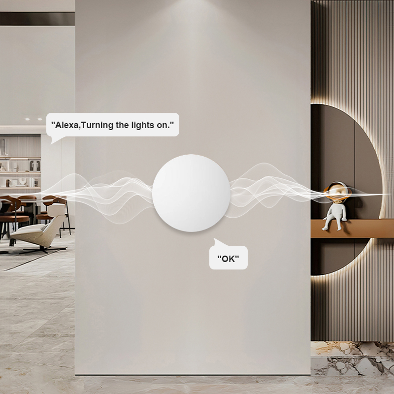 Tuya Smart Life용 ZigBee 스마트 무선 - Home Security Alexa 리뷰 및 가격