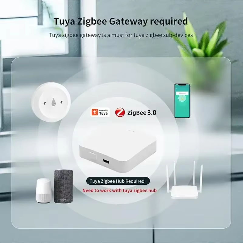 Tuya ZigBee 3.0 누수 감지기 홈 어시스턴트 - Home Security Alexa 리뷰 및 가격